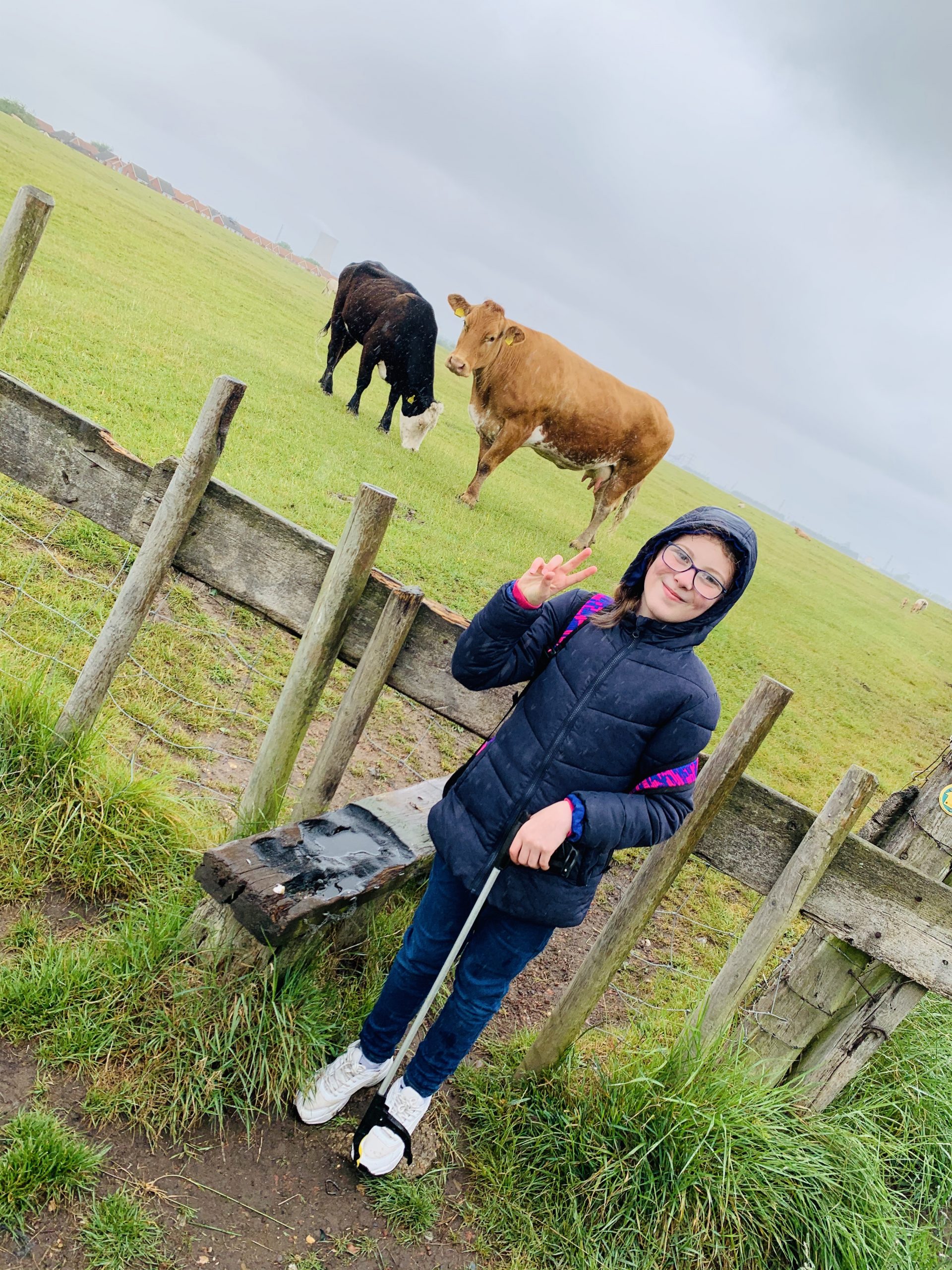Sophie and the cows